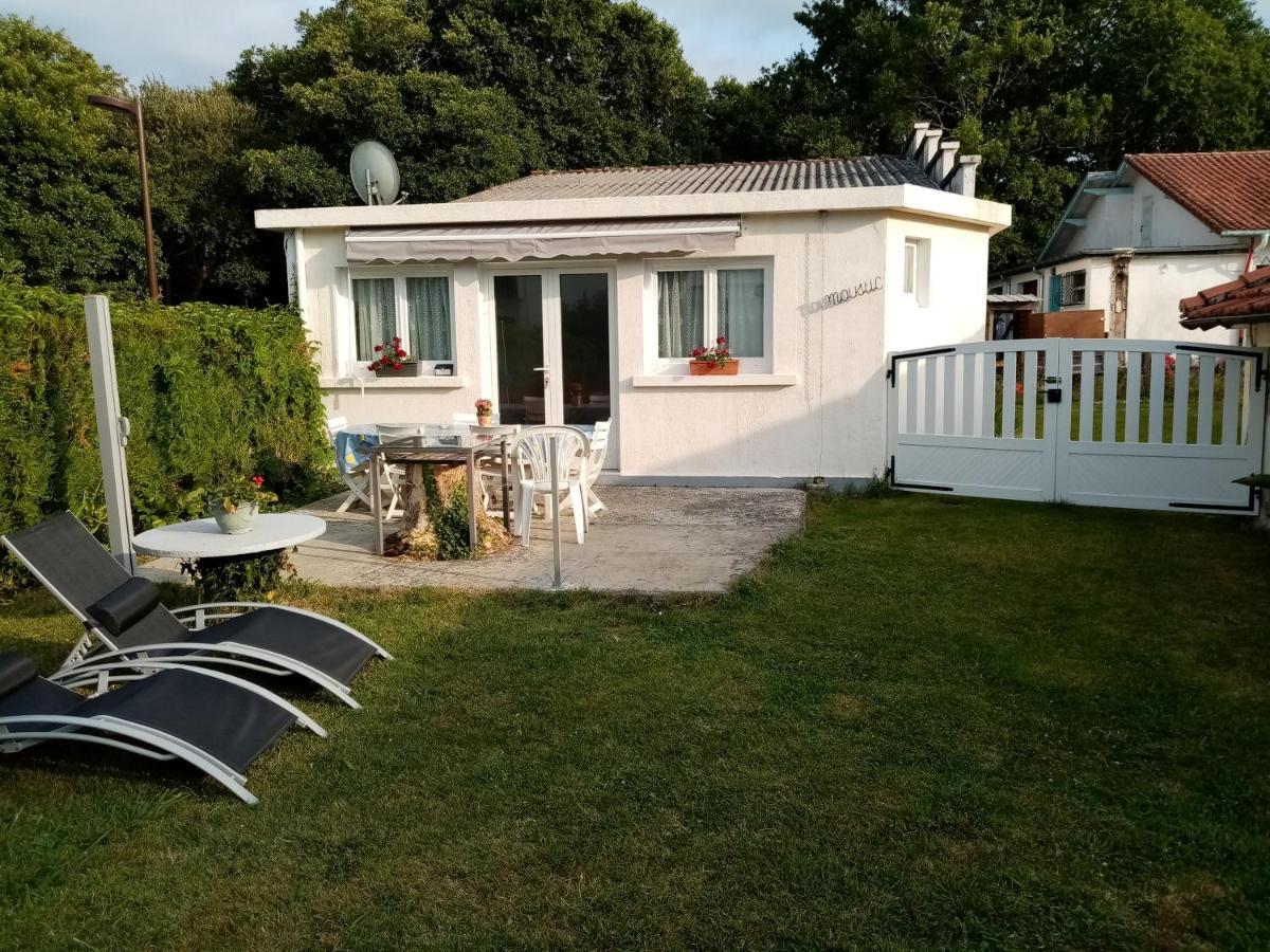 Le Moustic Villa Léon Dış mekan fotoğraf